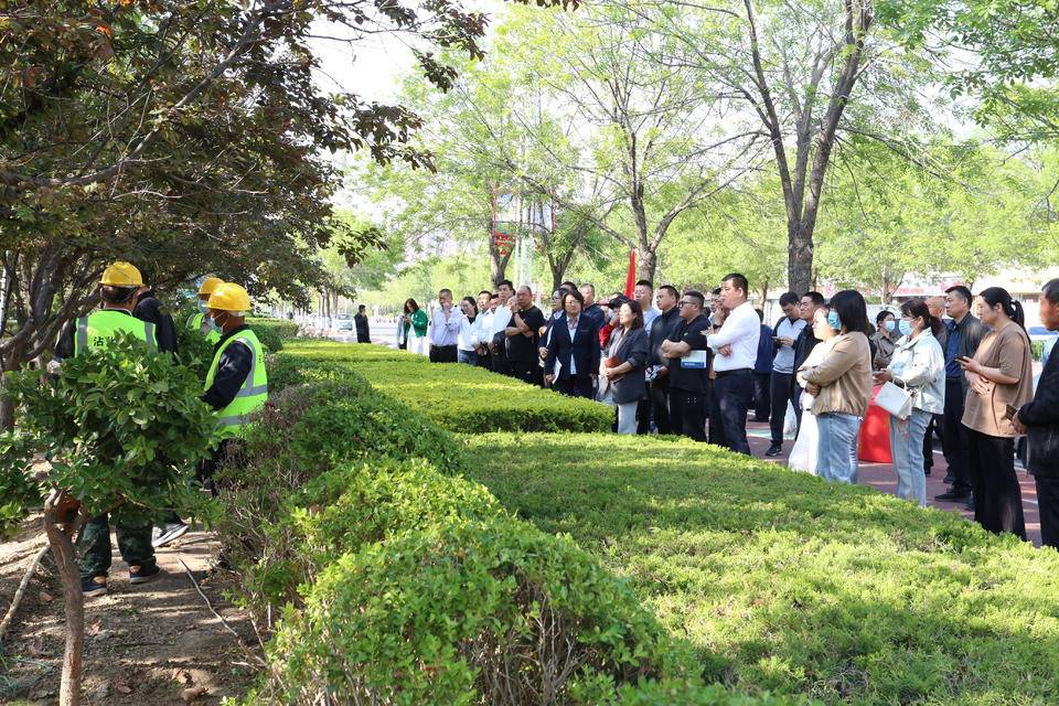 沾化區(qū)春季園林綠化工作培訓(xùn)暨社區(qū)綠化服務(wù)技術(shù)指導(dǎo)會召開:園林綠化

