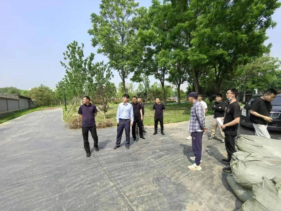 通州區(qū)園林綠化局高效推進(jìn)施養(yǎng)移交工作<strong></p>
<p>園林綠化
</strong>，匠心守護(hù)城市綠色空間:園林綠化
