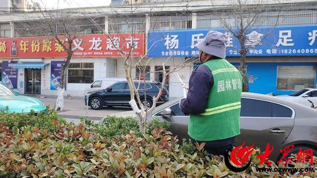 鄆城縣園林綠化服務(wù)中心：春季綠化工作全面展開 助力生態(tài)宜居城市建設(shè):園林綠化
